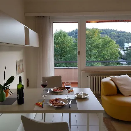 Greta 29 Apartment Losone